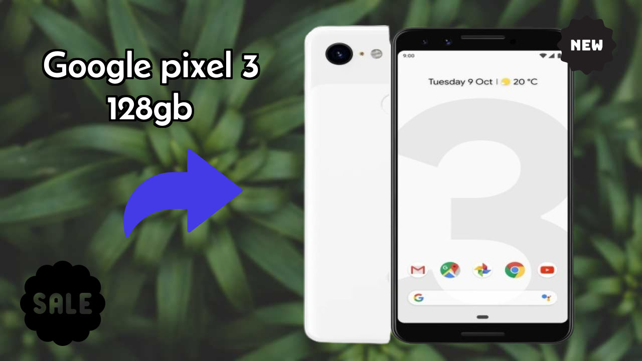 Google Pixel 3 128GB Camera Review: 12.2 MP Rear Camera Low Light